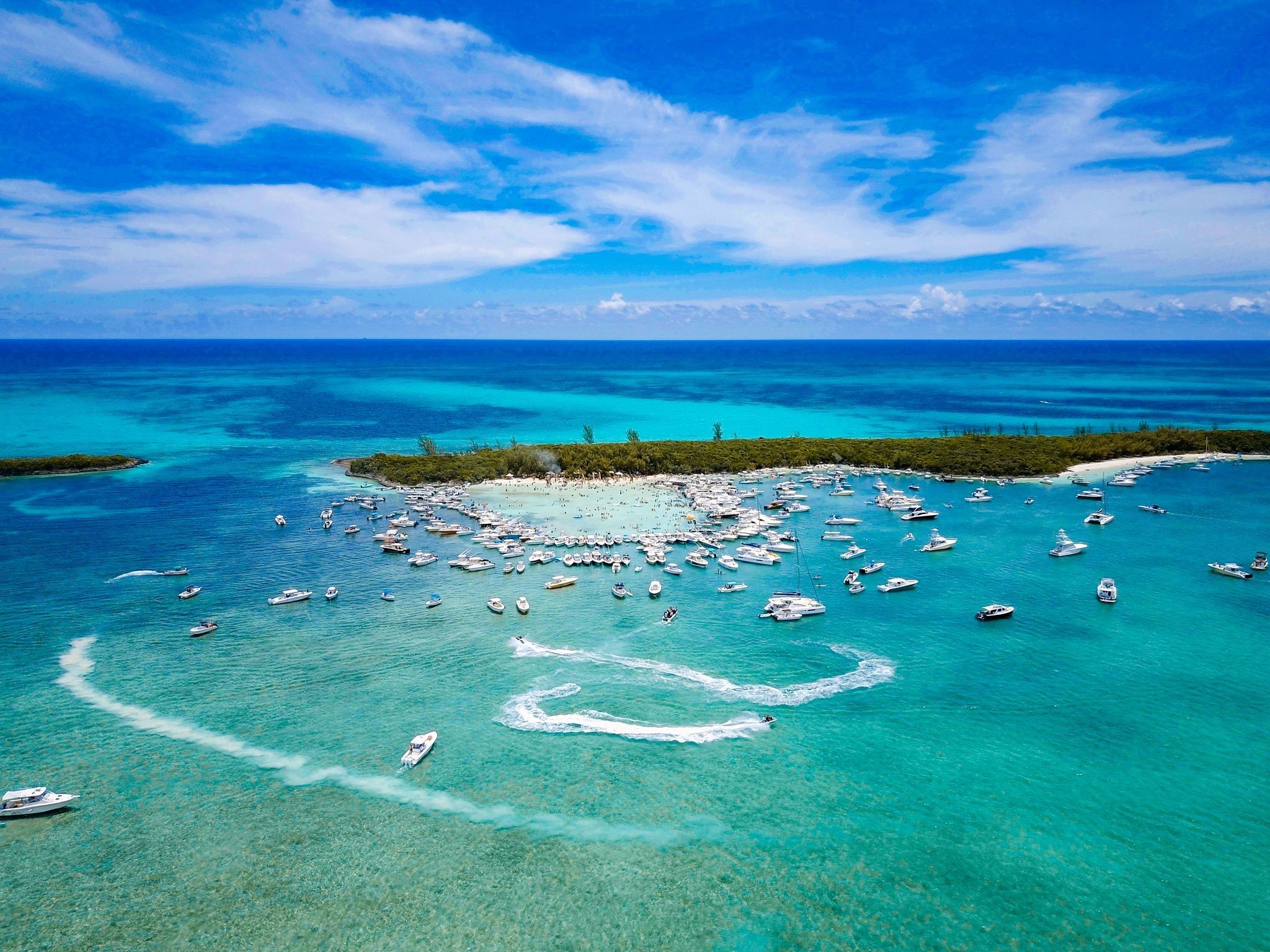 Cheeseburger in Paradise Party